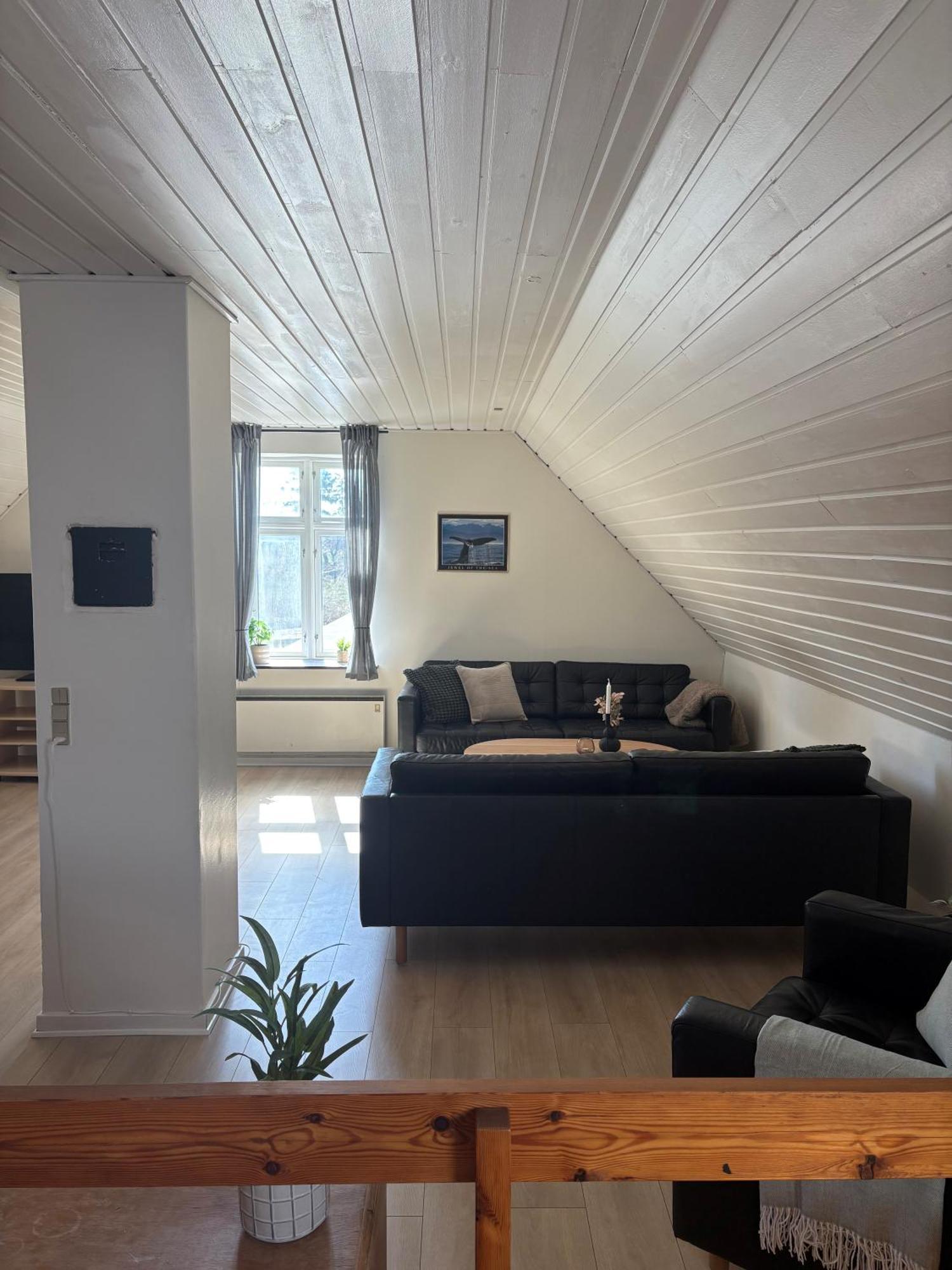 Djursland Lystrup Strand Ferieboliger Allingåbro Dış mekan fotoğraf